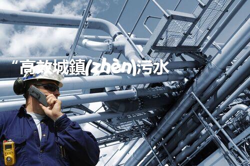 “高效城鎮(zhèn)污水處理流程，守護(hù)碧水藍(lán)天新篇章”